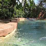 Picture 119